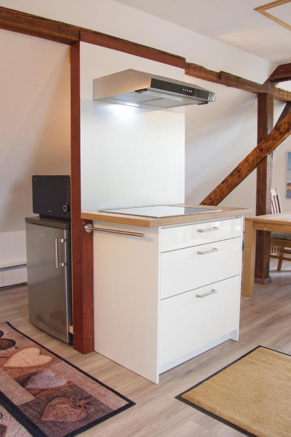 Traumzeit Mit Balkon In Vorstadtvilla Appartement Dresde