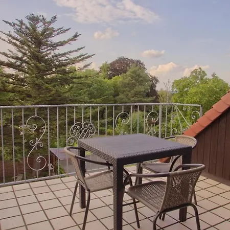 Apartment Traumzeit Mit Balkon In Vorstadtvilla Dresde Extérieur photo